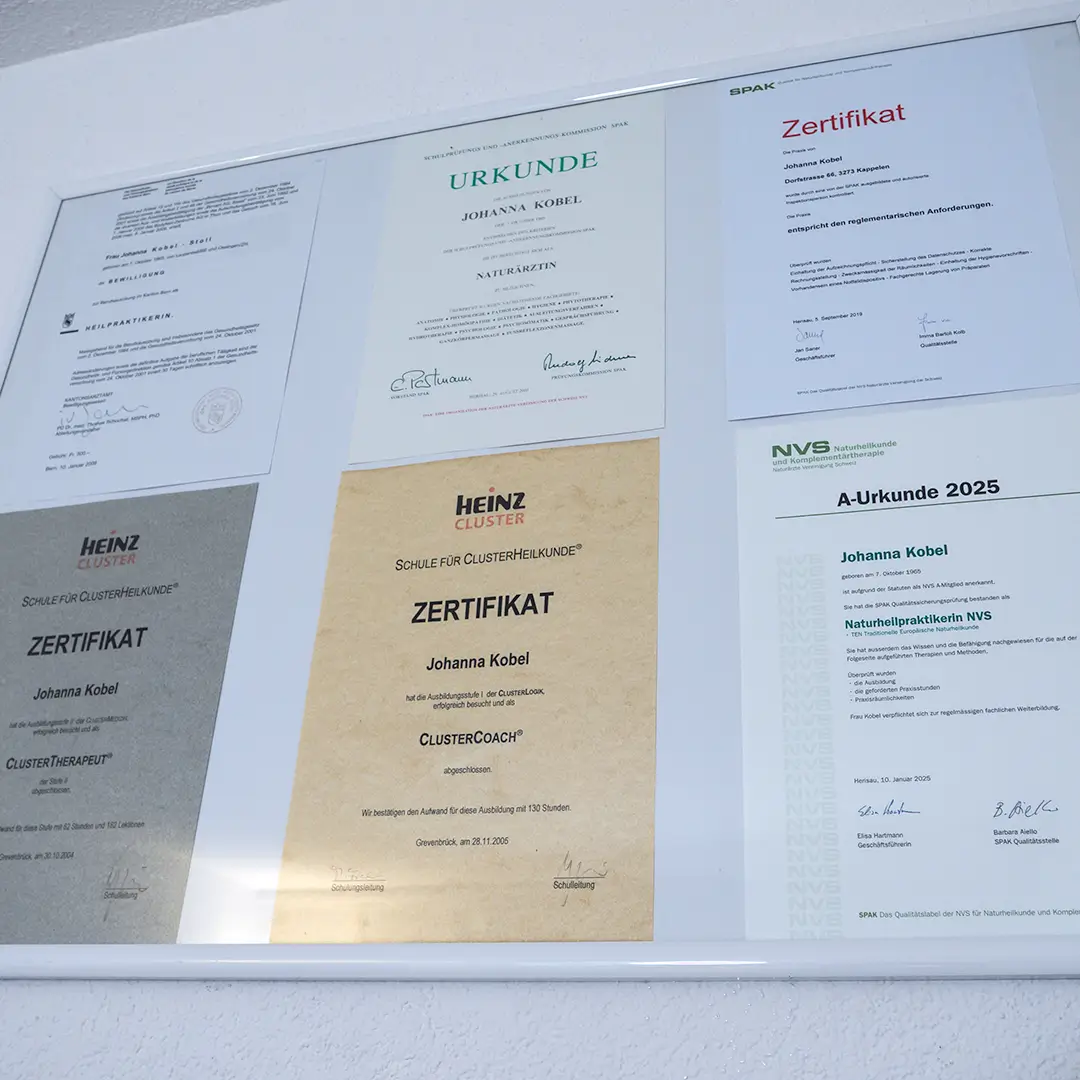 johanna kobel diplome lovinglife